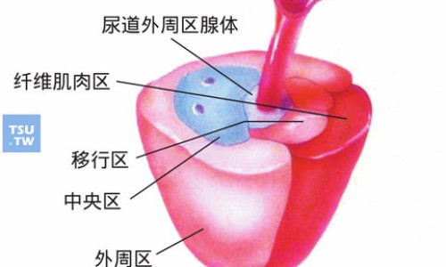 舒肝健胃穴位-舒肝健胃吃什么食物有哪些网 - 为你提供舒肝健胃组成剂量、舒肝健胃的功效
