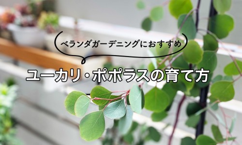 舒肝健胃穴位-舒肝健胃吃什么食物有哪些网 - 为你提供舒肝健胃组成剂量、舒肝健胃的功效